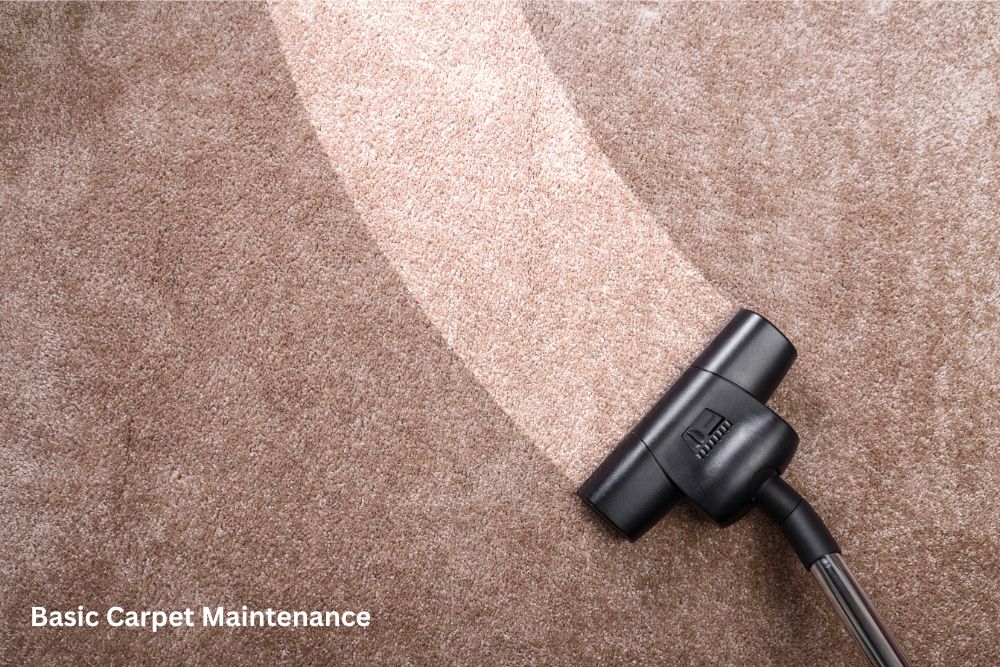Carpet cleaning | Magic Carpets