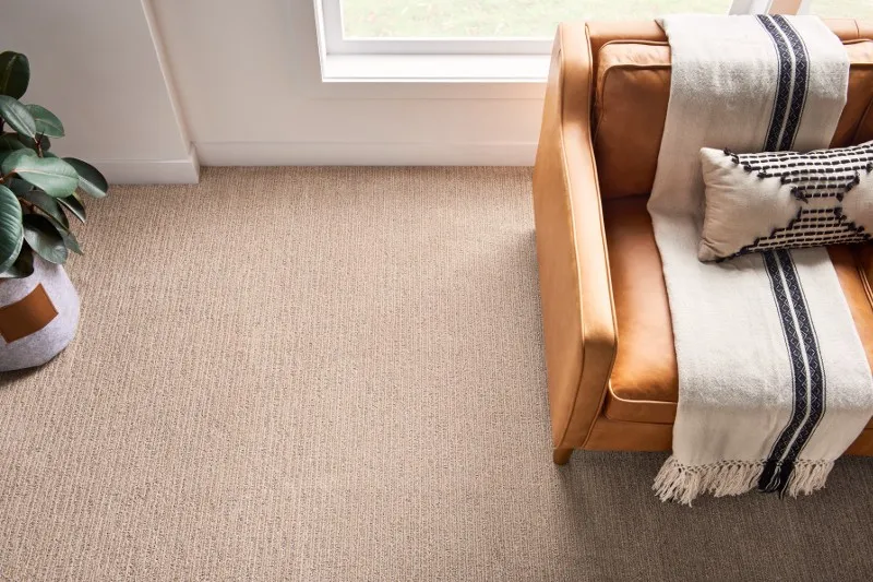 Carpet | Magic Carpets