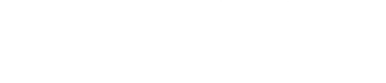 Logo | Magic Carpets