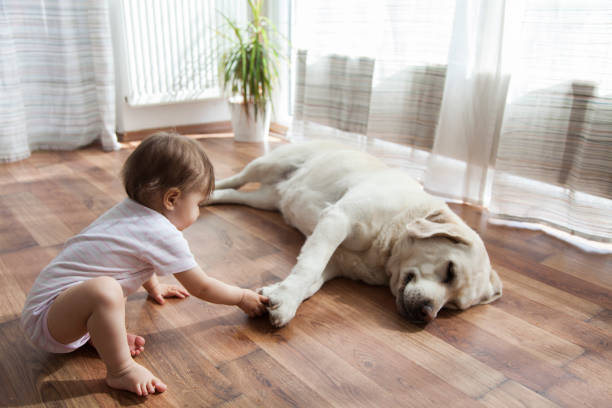 Baby and pet perfect flooring | Magic Carpets