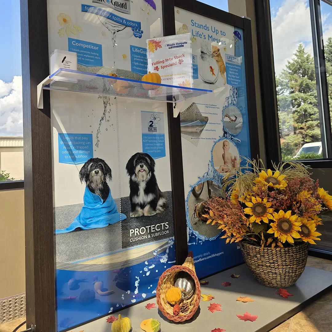 Autumn Entrance 8-19-2025 Magic Carpets Showroom Display | Magic Carpets